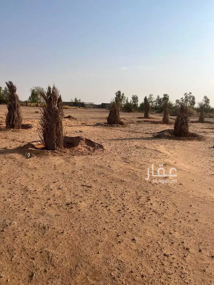 أرض للإيجار في شارع عبدالرحمن ابن يزيد اللخمي ، الخفق القديم ، القويعية صورة 4