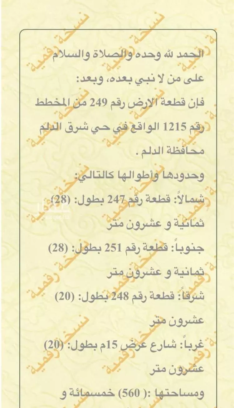 أرض للبيع في حي الناصرية, مدينة الدلم, منطقة الرياض صورة 2