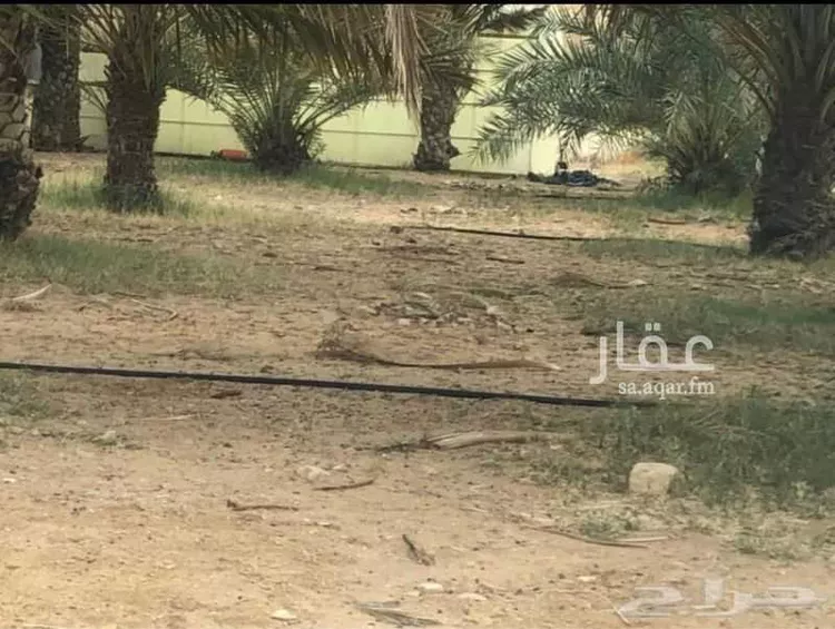 أرض للبيع في حي اجربه, مدينة اجربه, منطقة الجوف صورة 5