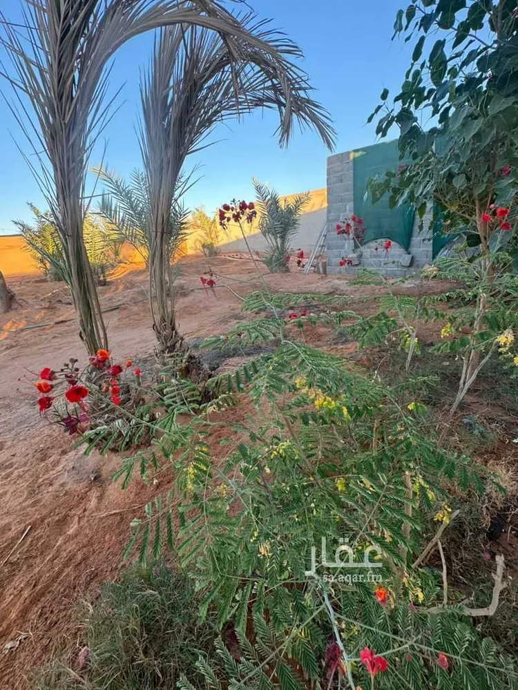 Camp for booking in Al Muzahimiyah Al GhatGhat 30