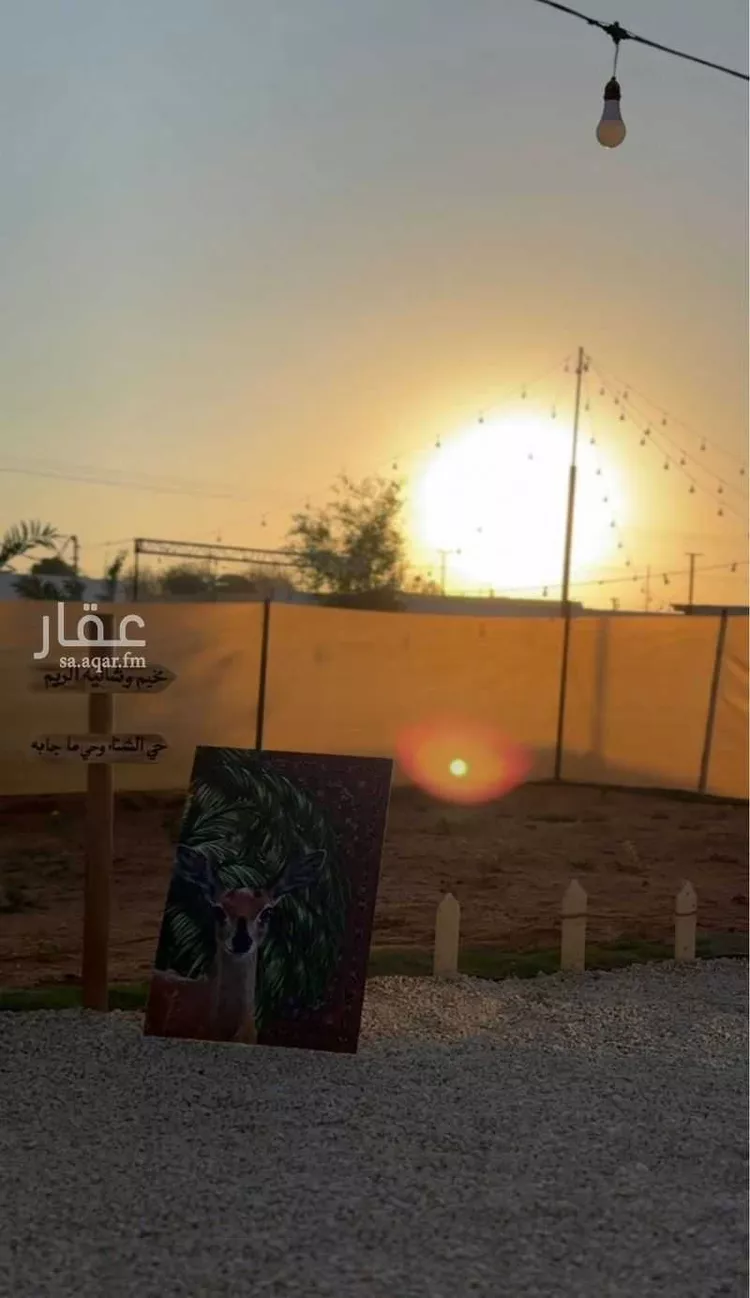 مخيم للحجز في شارع هجره الذيبيه وخضراء 603 ، الذيبية ، المزاحمية صورة 3