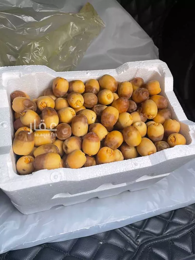 مزرعة للبيع في حي العاقول, مدينة المدينه المنوره, منطقة المدينة المنورة