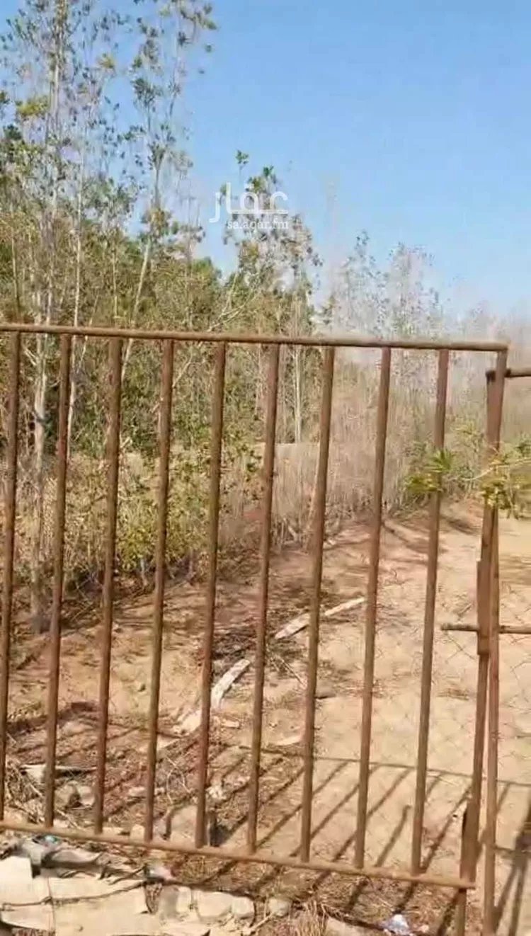 أرض للبيع في شارع آمنة بنت سعد بن وهب, مدينة فيده النخل, منطقة مكة المكرمة صورة 4