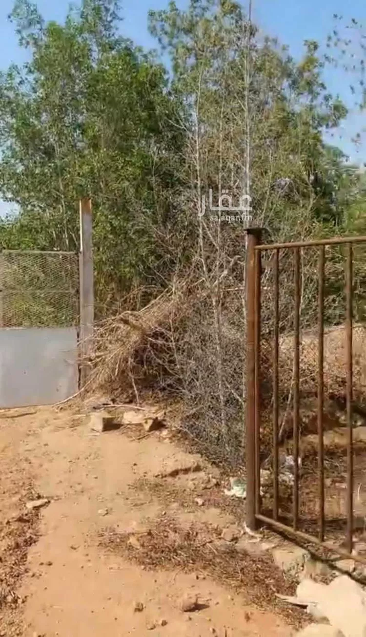 أرض للبيع في شارع آمنة بنت سعد بن وهب, مدينة فيده النخل, منطقة مكة المكرمة صورة 2