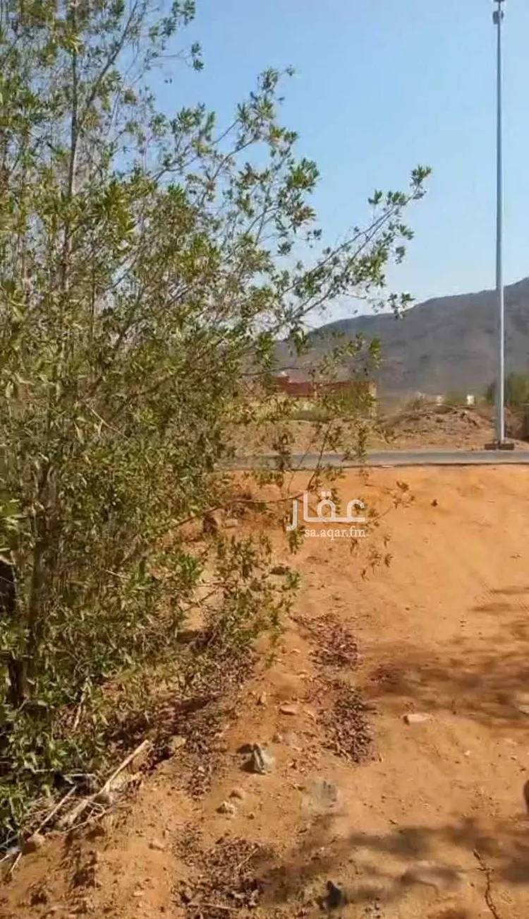 أرض للبيع في شارع آمنة بنت سعد بن وهب, مدينة فيده النخل, منطقة مكة المكرمة