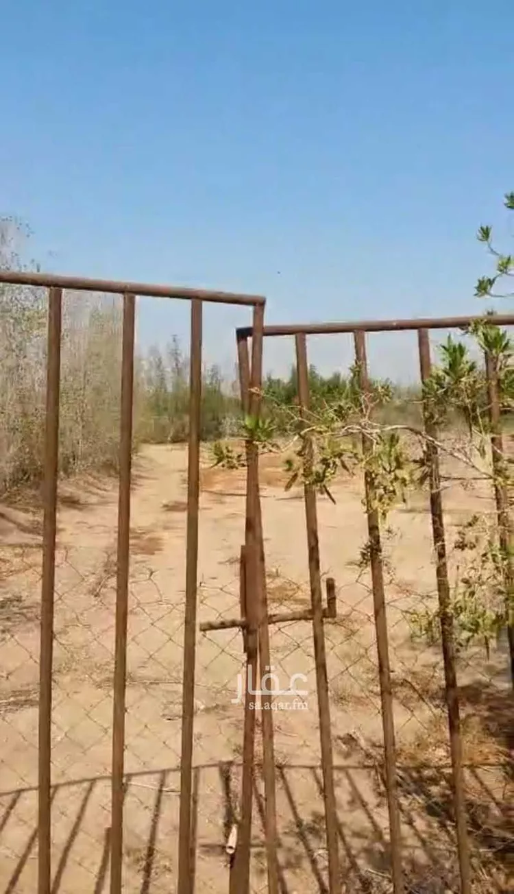 أرض للبيع في شارع آمنة بنت سعد بن وهب, مدينة فيده النخل, منطقة مكة المكرمة صورة 3