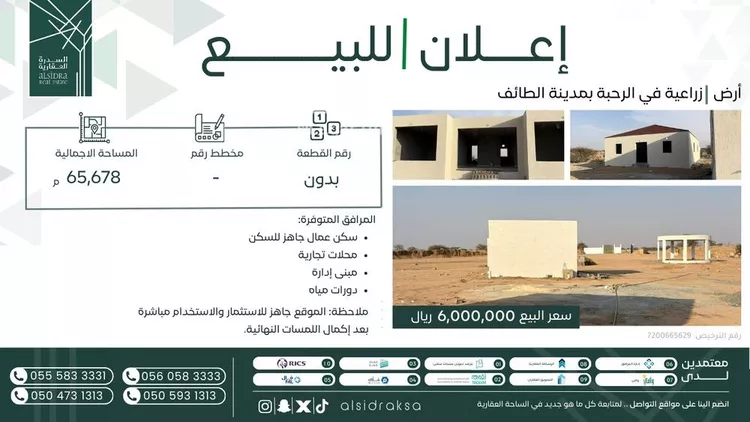 أرض للبيع في شارع الطائف, حي الحامدية, مدينة امارة منطقة مكة المكرمة - الطائف, منطقة مكة المكرمة