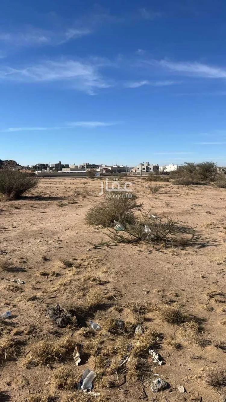 أرض للبيع في شارع مالك ابن صعصعة, مدينة دحله بن سرور, منطقة عسير صورة 3