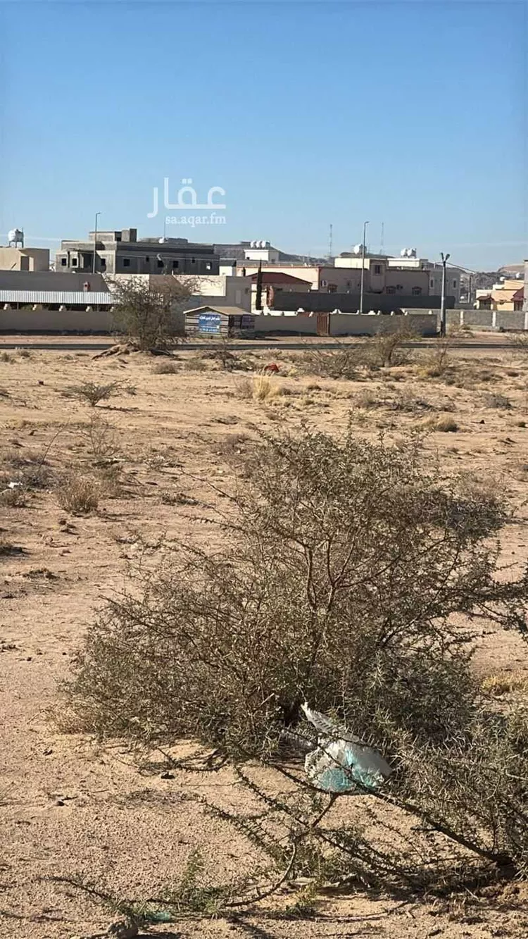 أرض للبيع في شارع مالك ابن صعصعة, مدينة دحله بن سرور, منطقة عسير صورة 2