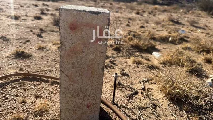 أرض للبيع في شارع مالك ابن صعصعة, مدينة دحله بن سرور, منطقة عسير صورة 4