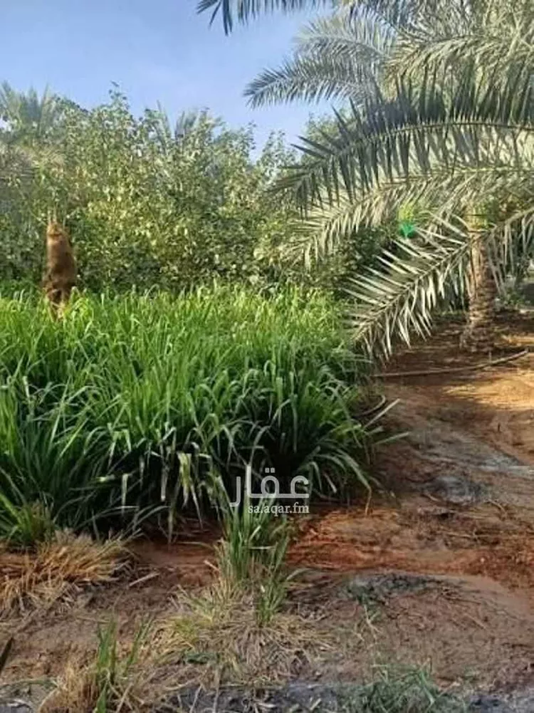 أرض للبيع في شارع معاوية بن ابي سفيان, حي غرناطة, مدينة المزاحمية, منطقة الرياض