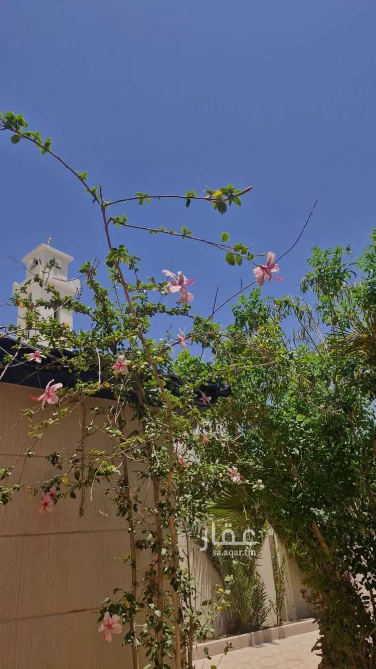 Rest House for Rent in Taif Jubrah صورة 3