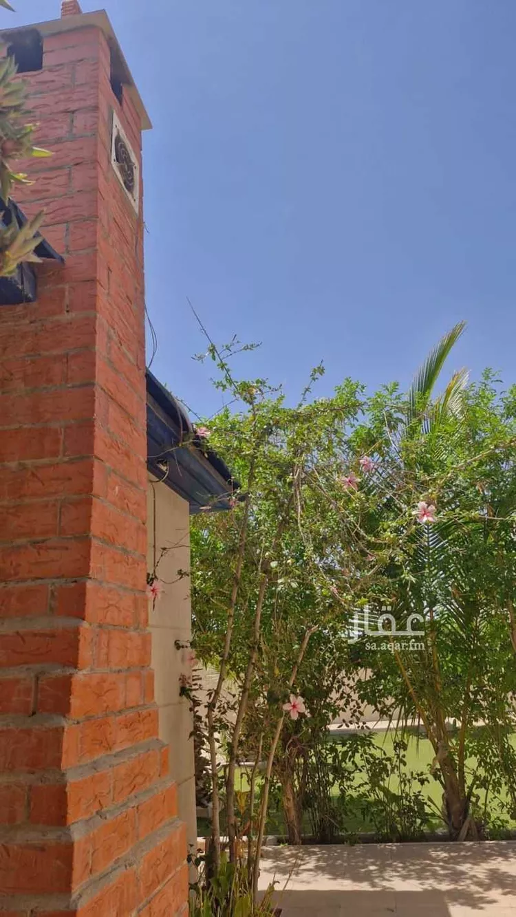 Rest House for Rent in Taif Jubrah صورة 5