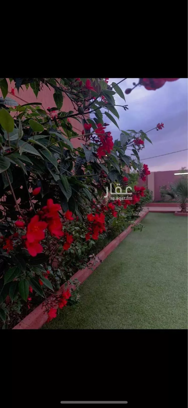 استراحة للإيجار في شارع عبدالملك ابن سكينة ، حي الرحاب ، الطائف ، الطائف