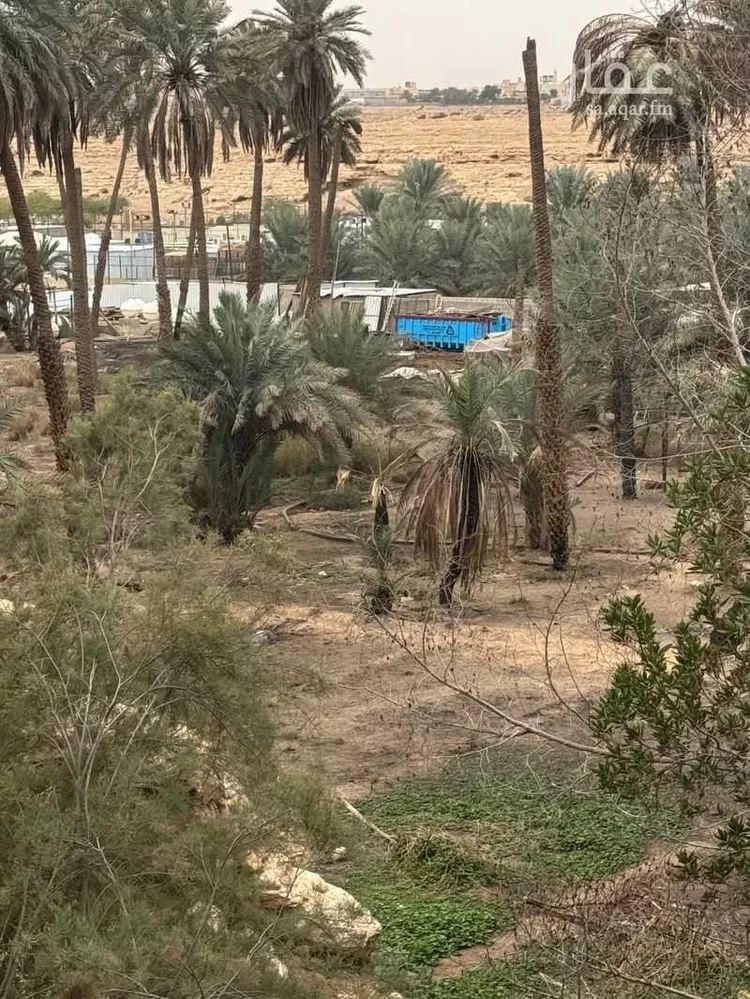 Farm for Sale in Riyadh Al Badi'ah