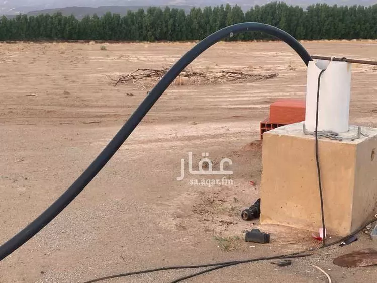 أرض للبيع في الشامية ، الجموم