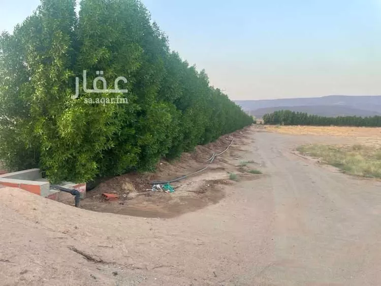 أرض للبيع في الشامية ، الجموم صورة 4