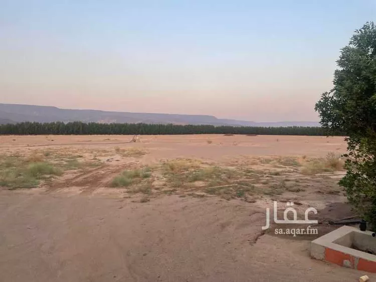 أرض للبيع في الشامية ، الجموم صورة 3