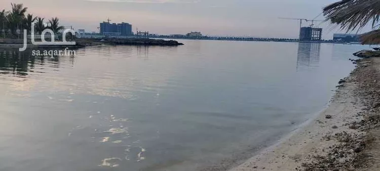 أرض للبيع في شارع 814555, حي أبحر الشمالية, مدينة جدة, منطقة مكة المكرمة صورة 5