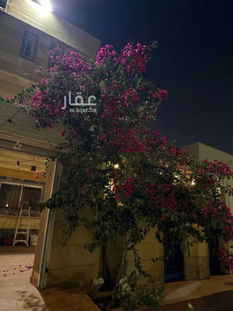 فيلا للبيع في شارع مروان الهمداني ، حي الشرفية ، أبها ، منطقة عسير صورة 2