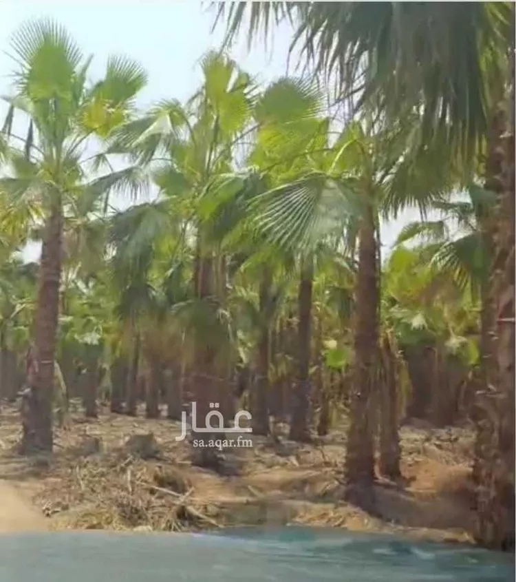مزرعة للبيع في شارع السلطانيه 664, مدينة الخرج, منطقة الرياض صورة 3