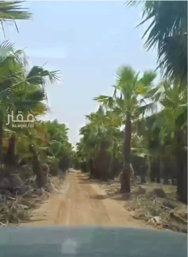 مزرعة للبيع في شارع السلطانيه 664, مدينة الخرج, منطقة الرياض صورة 4