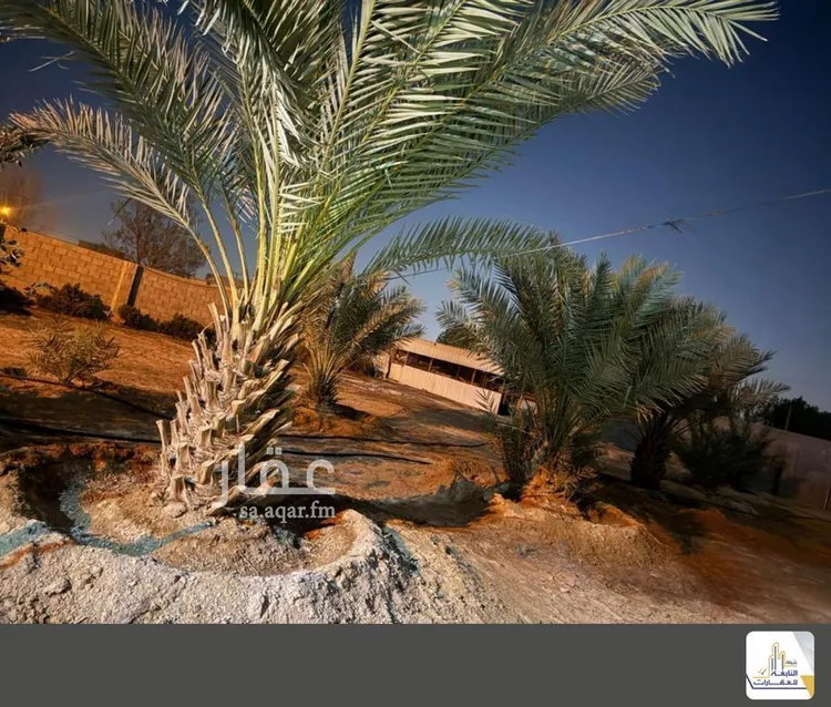 استراحة للإيجار في شارع ضرما, مدينة ضرما, منطقة الرياض 6