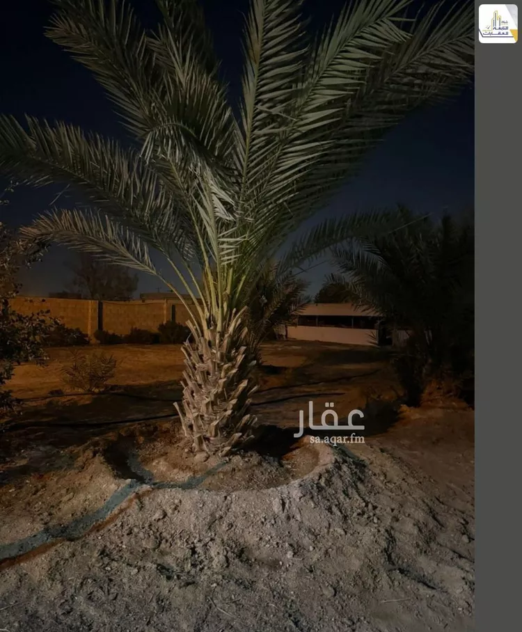 استراحة للإيجار في شارع ضرما, مدينة ضرما, منطقة الرياض 9