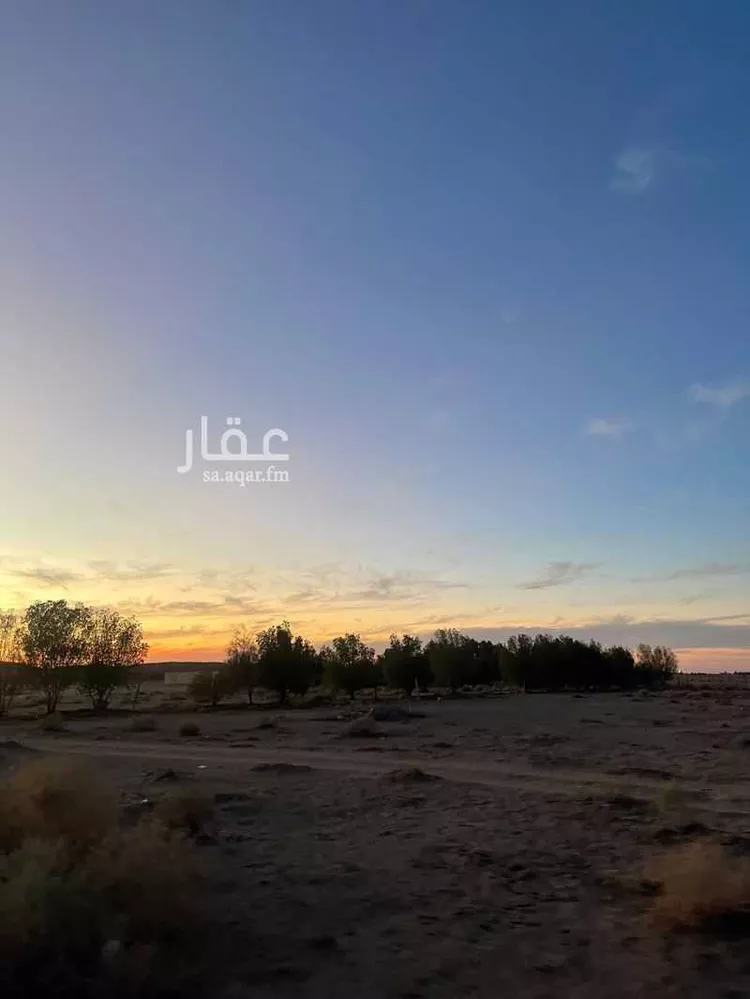 أرض للبيع في حي الفوارة, مدينة الفوارة, منطقة القصيم صورة 3