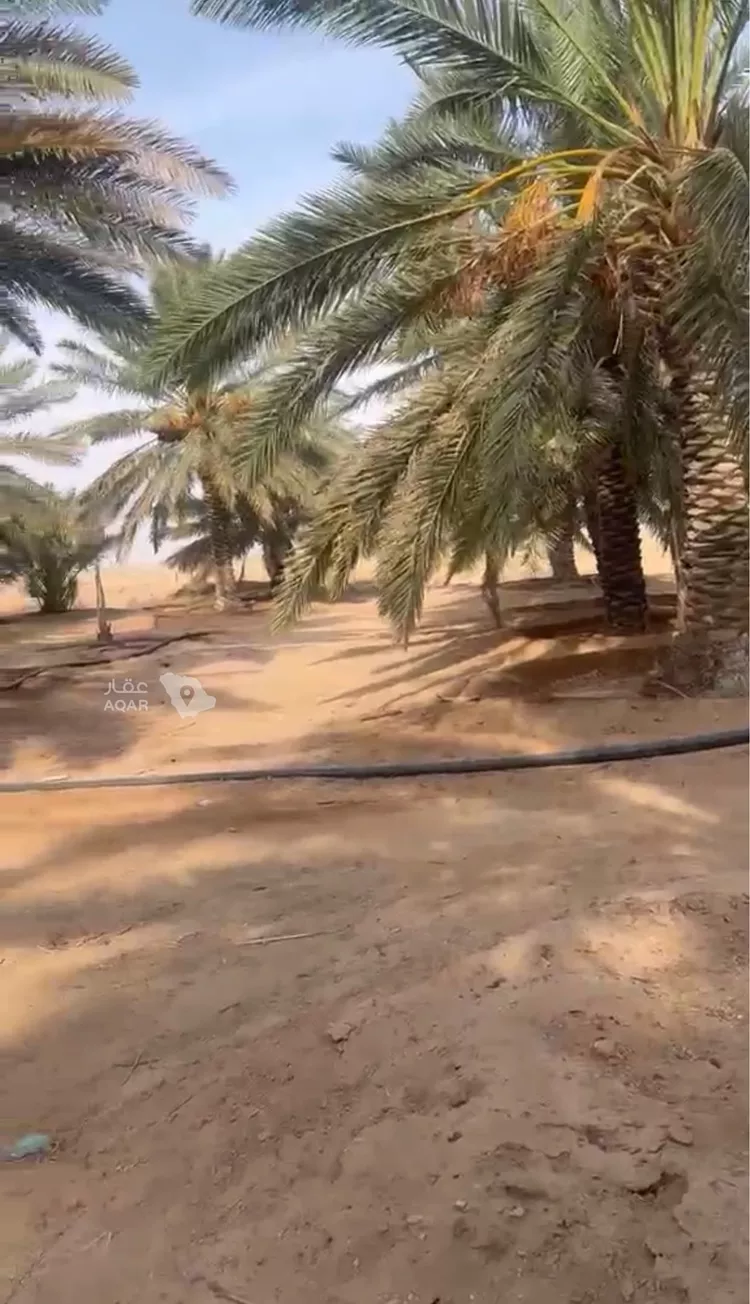 Farm for Sale in AlShinana As Sinaiyah 6