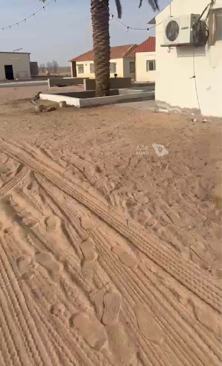 Farm for Sale in AlShinana As Sinaiyah 13