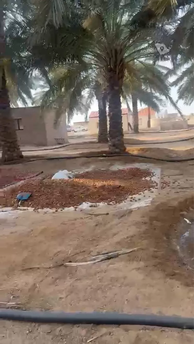 Farm for Sale in AlShinana As Sinaiyah 5