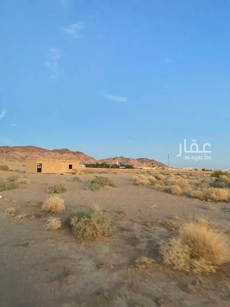 أرض للبيع في حي الفوارة, مدينة الفوارة, منطقة القصيم صورة 2