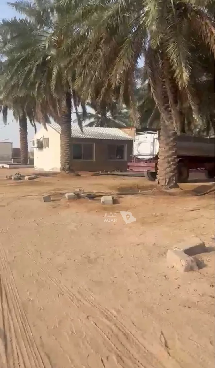 Farm for Sale in AlShinana As Sinaiyah 2