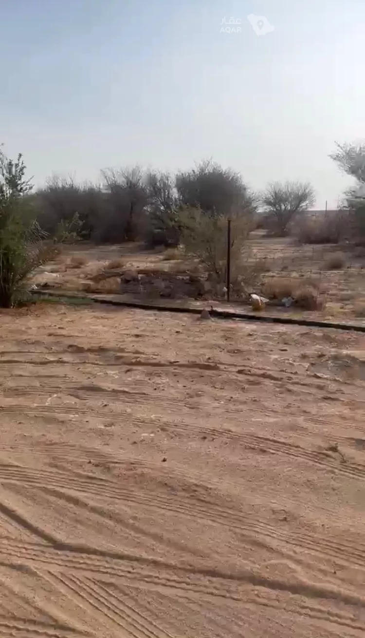 Farm for Sale in AlShinana As Sinaiyah