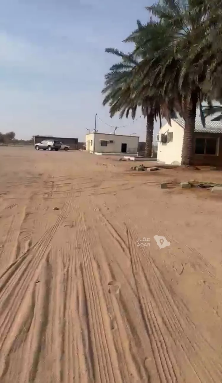 Farm for Sale in AlShinana As Sinaiyah 8