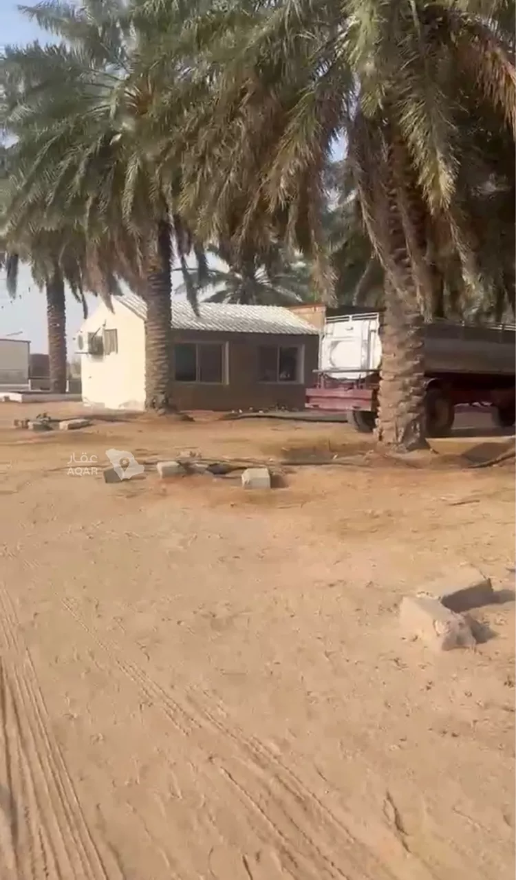 Farm for Sale in AlShinana As Sinaiyah 10