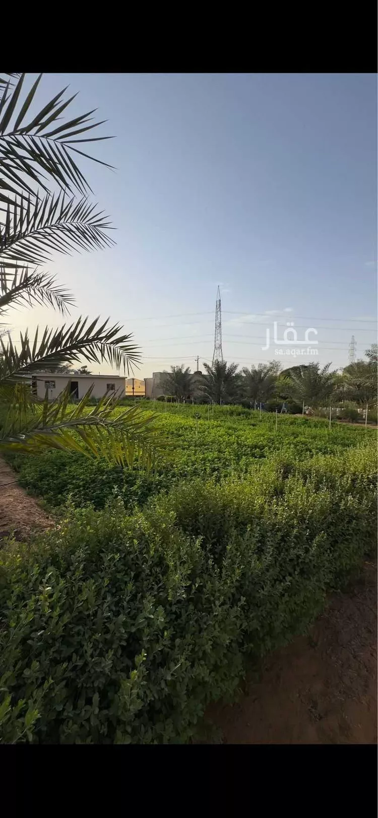 مزرعة للبيع في شارع الجامع الازهر, حي العفجه, مدينة الخرج, منطقة الرياض 26