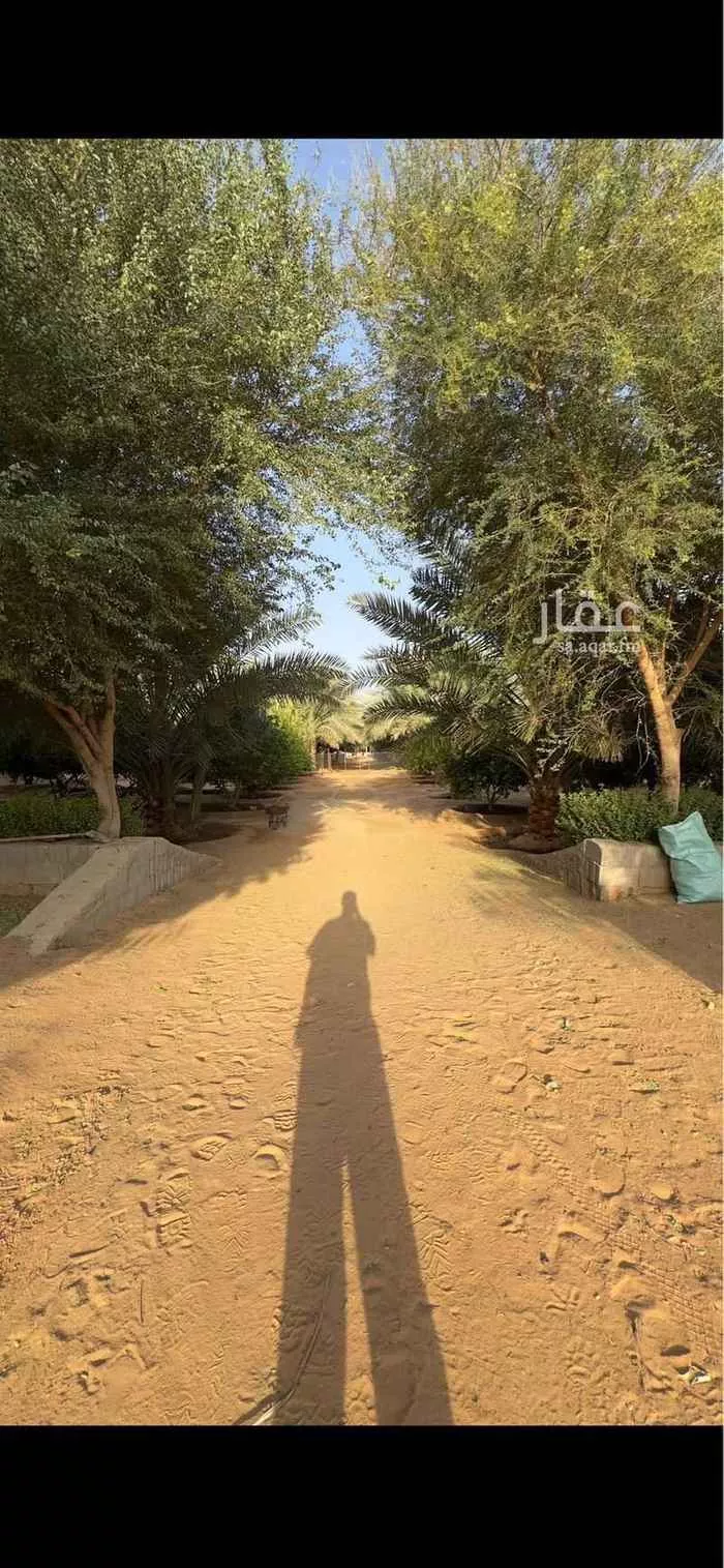 مزرعة للبيع في شارع الجامع الازهر, حي العفجه, مدينة الخرج, منطقة الرياض 22