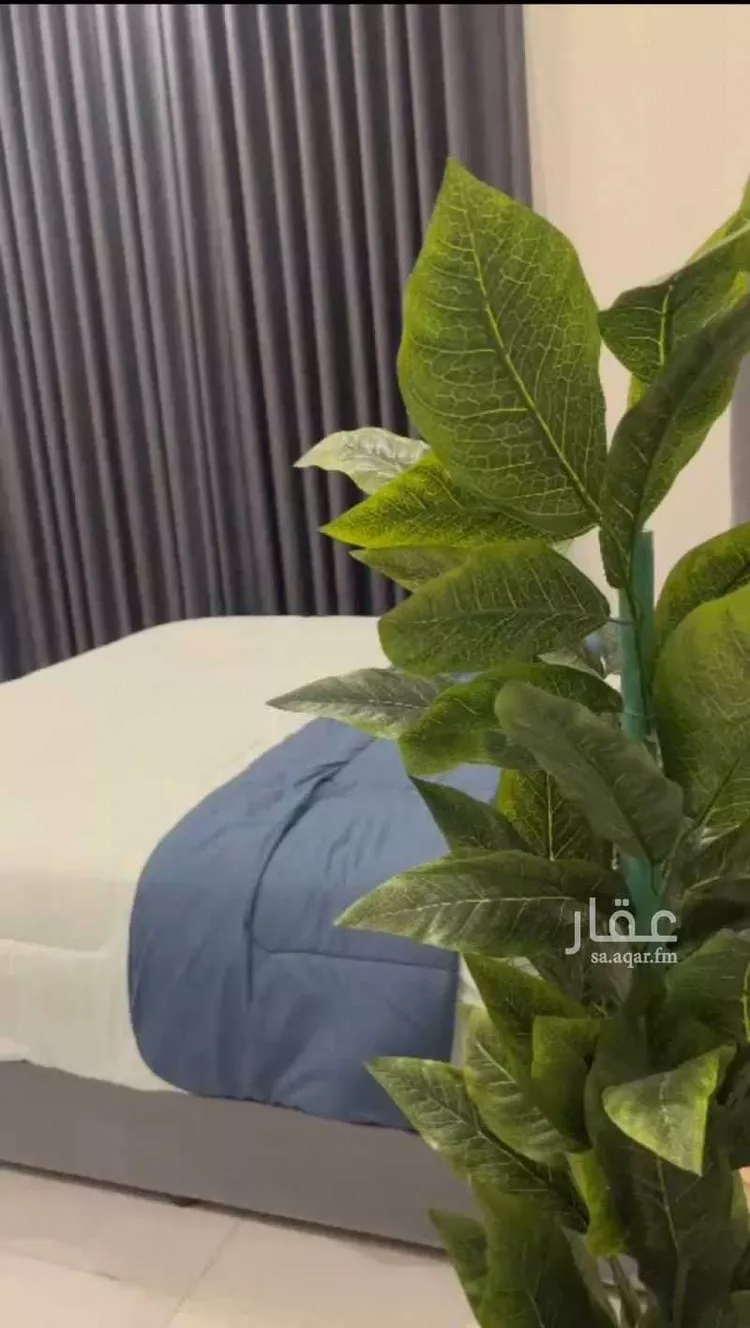 استديو مفروش للحجز في شارع أبي الحسن المقدسي ، حي الريان ، جدة ، جدة