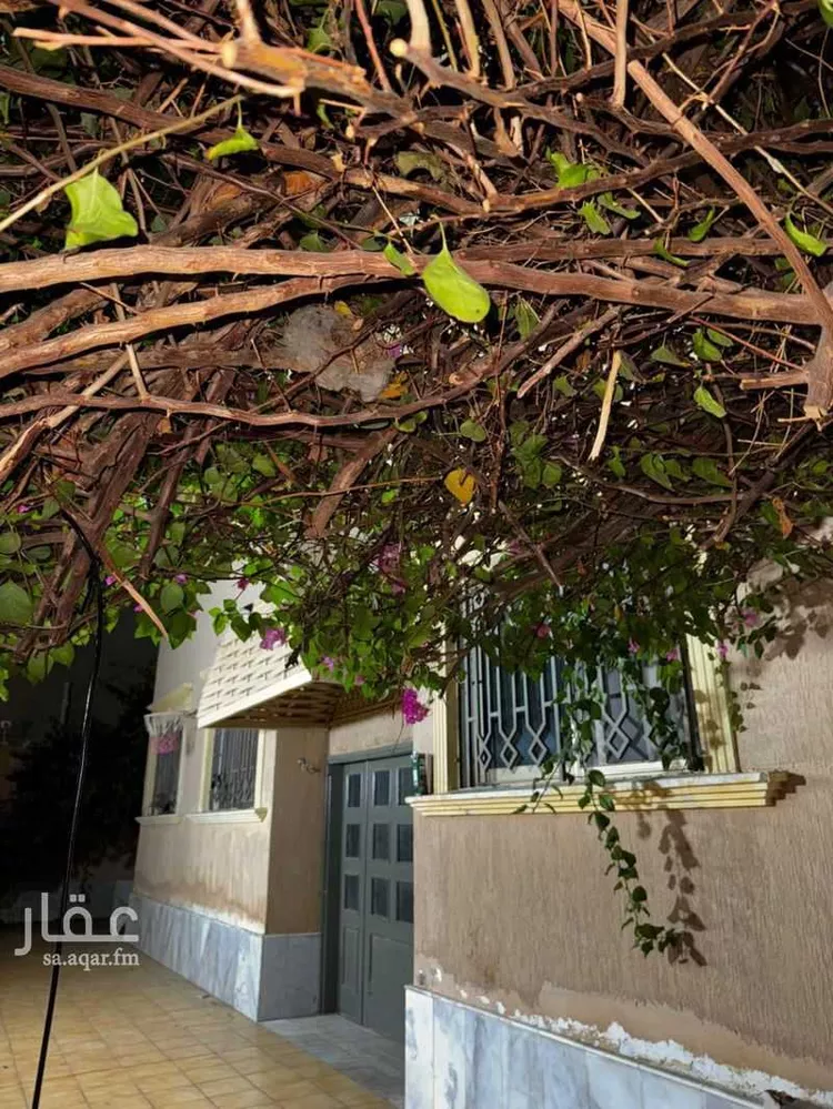 عمارة للإيجار في حي الفيصلية ، جدة ، جدة صورة 3