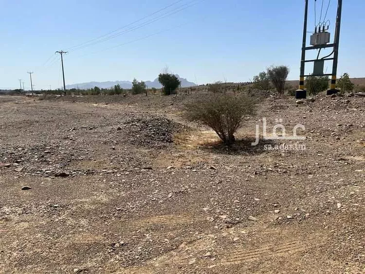 أرض للبيع في حي الخضراء, مدينة المدينة المنورة, منطقة المدينة المنورة صورة 5