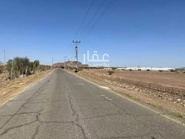 أرض للبيع في حي الخضراء, مدينة المدينة المنورة, منطقة المدينة المنورة صورة 4