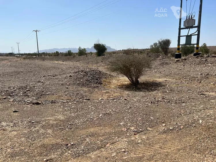 أرض للبيع في شارع الخضراء 327, حي الخضراء, مدينة المدينة المنورة, منطقة المدينة المنورة 15