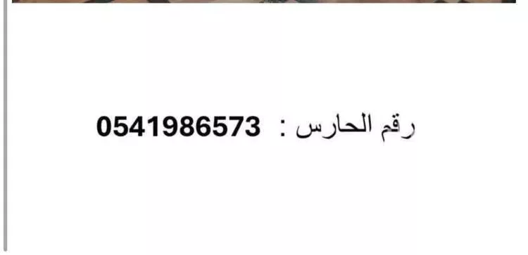 شقة للإيجار في شارع المنيني, حي المروة, مدينة جدة, منطقة مكة المكرمة صورة 3