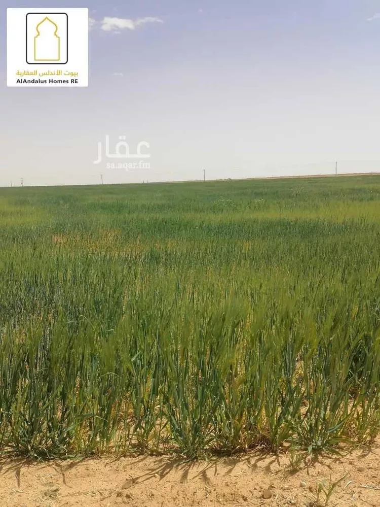 مزرعة للبيع في شارع 0000, حي الجبعاوية (جريش), مدينة الجبعاوية (جريش), منطقة تبوك صورة 2