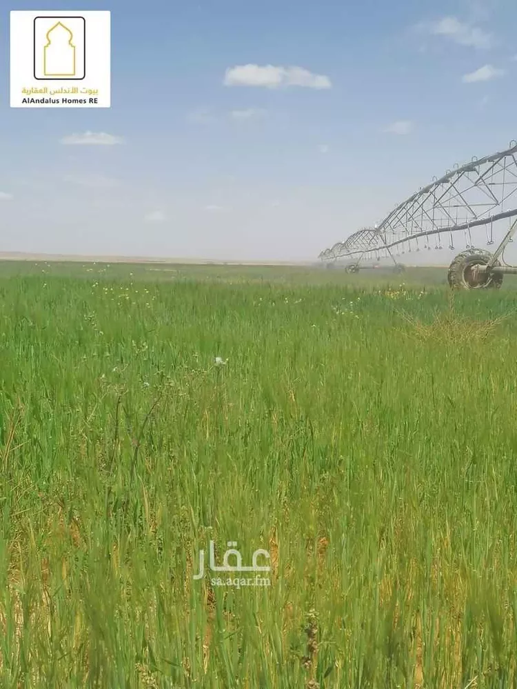 مزرعة للبيع في شارع 0000, حي الجبعاوية (جريش), مدينة الجبعاوية (جريش), منطقة تبوك