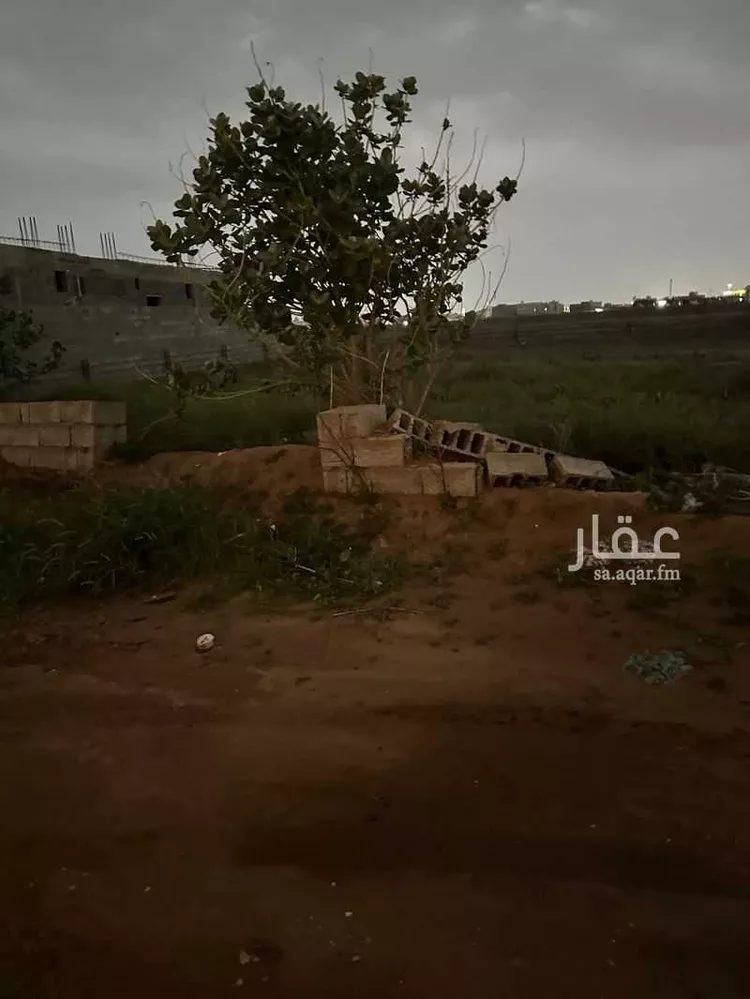 أرض للبيع في أبو حجر ، صامطة صورة 2