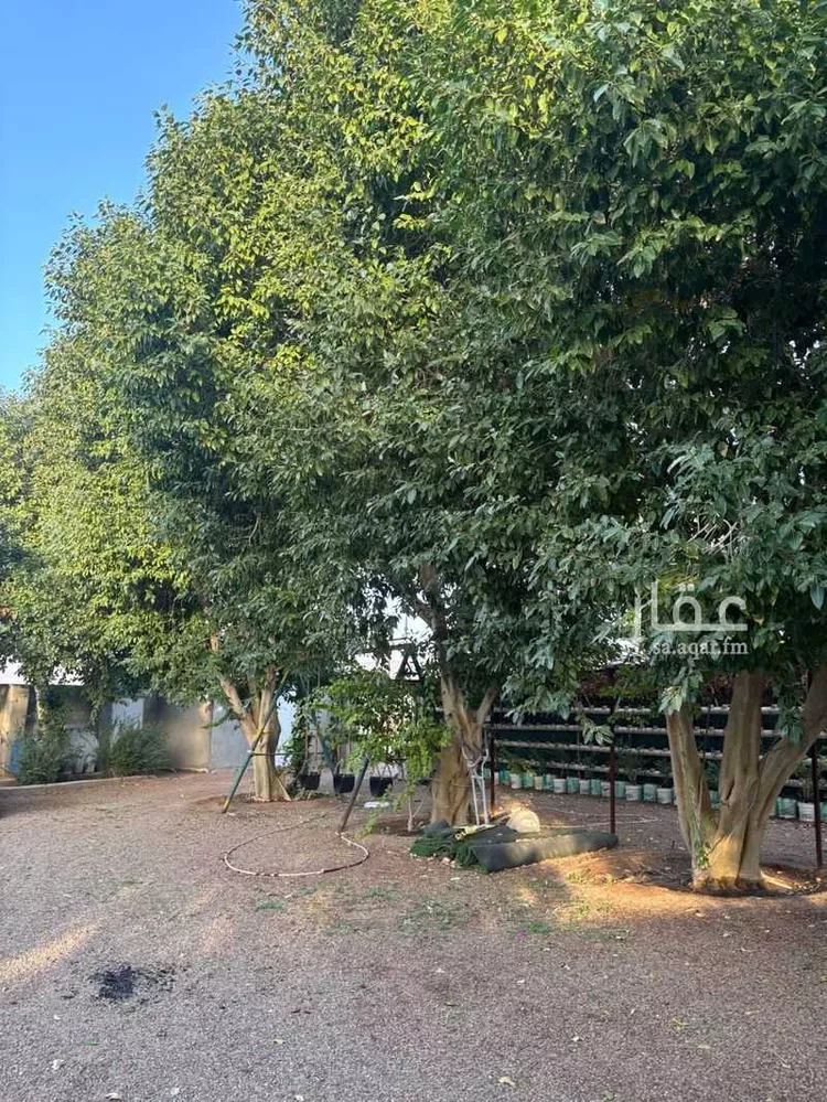 مزرعة للبيع في شارع المندسة 1227 ، المدينة المنورة ، منطقة المدينة المنورة صورة 4
