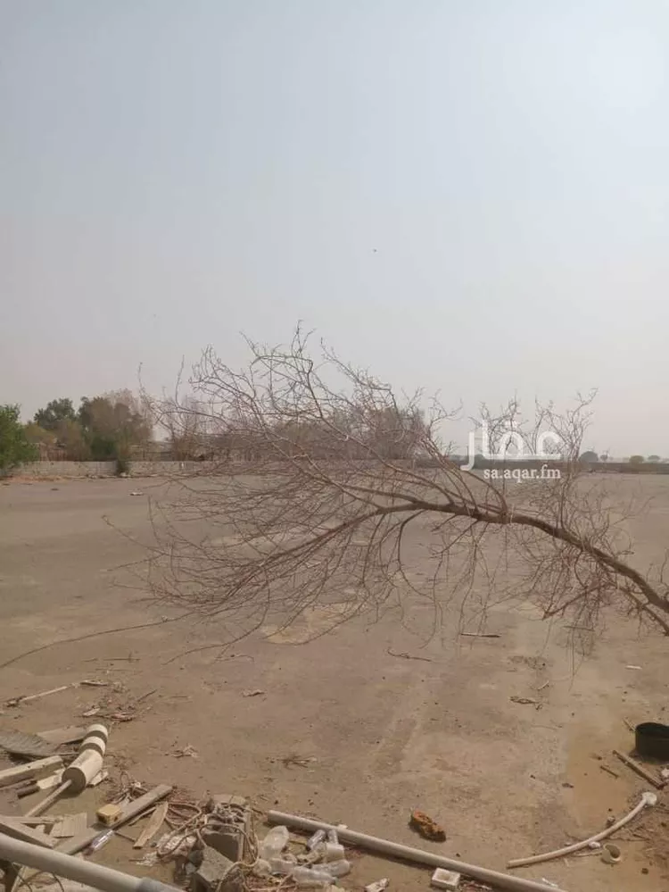 أرض للبيع في شارع طريق الملك عبد العزيز, مدينة حرف الحطب ابو الحطب, منطقة جازان صورة 5